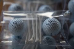 Golf-Torurnament-1-scaled